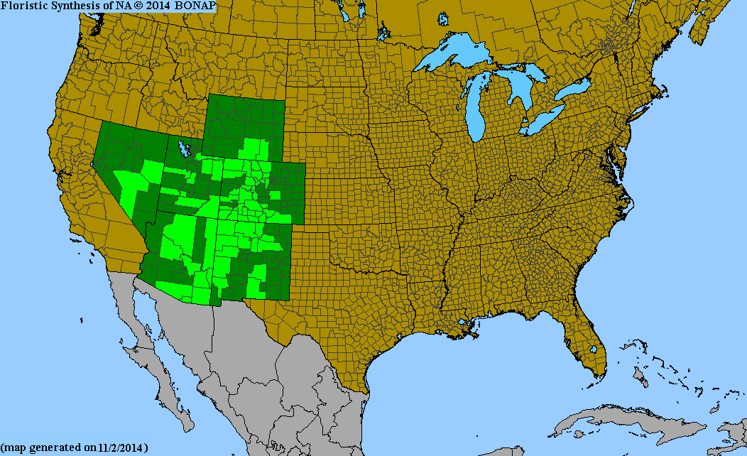 County distribution map of Agoseris aurantiaca var. purpurea - Orange-Flower Goat-Chicory
